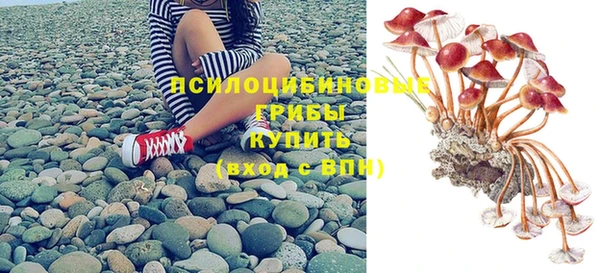 бошки Арсеньев