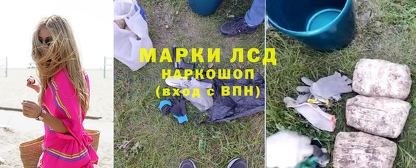спиды Аркадак