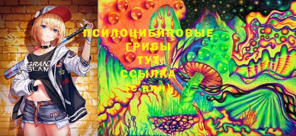 спиды Аркадак
