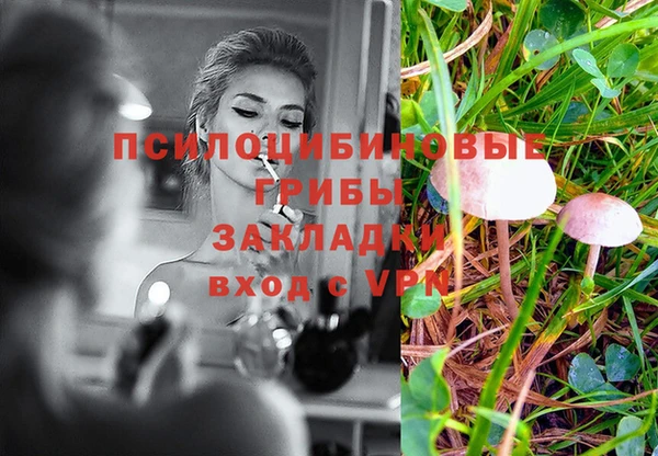 спиды Аркадак