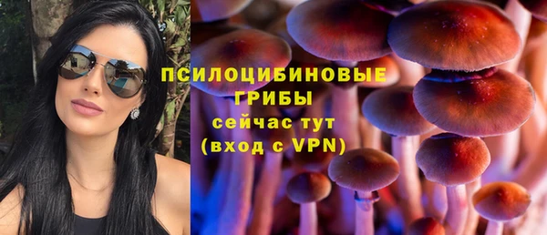 спиды Аркадак
